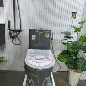 Bồn cầu xám chỉ vàng 2231