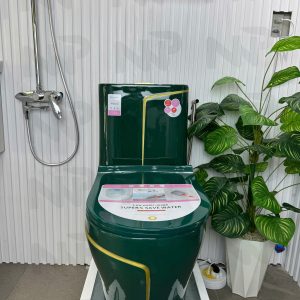 Bồn cầu xanh chỉ vàng 2238